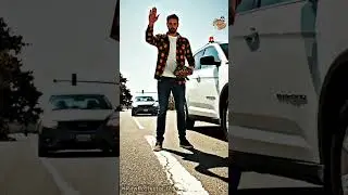 Man Rescues Terrified Turtle Crossing Busy Highway! ✋🚗#shorts #turtlerescue #kindness