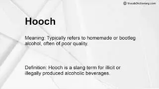 Hooch Meaning
