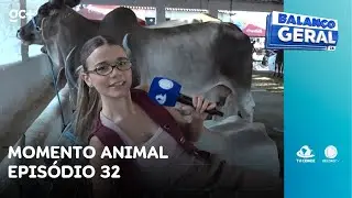 Momento Animal Ep. 32: Confira a rotina de animais de grande porte | Balan&ccedil;o Geral CE