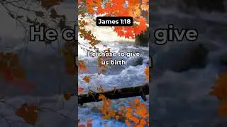 James 1:18 #scripture #bibleverse #fyp #bibleversecorner #bible #viral #quotes #motivation #facts