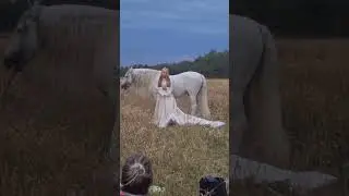 Amazing Horses Pet Cute & Very Smart The Moment The Horses With The Owner Are So Wonderful # 30