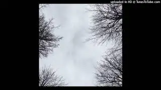 etroit oxxxxн