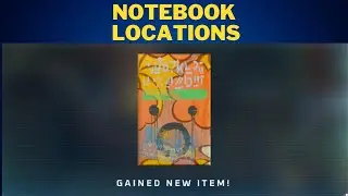 STRAY - All 4 Notebook Locations