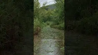 [기절숙면] 불면증 삭제하는 빗소리ㅣHealing Rain Sounds for Anxiety, Stress, and DepressionㅣAcabe com a Ins&ocirc;nia