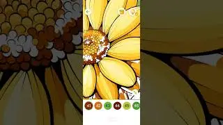 Color oasis game colouring 