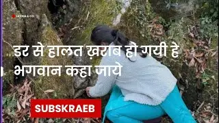 डर से हालत ख़राब हो गयी// घनघोर जंगल// #उत्तराखंड #phadivibes 