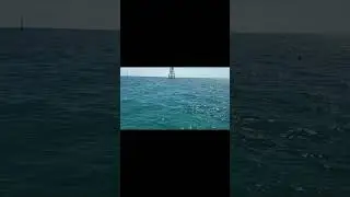 Snorkeling in the Florida Keys at Sombrero Reef