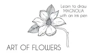 Art of Flowers: MAGNOLIA Learn to Draw flowers in 5 minutes 