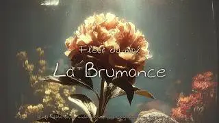 𝓛𝓮𝓼 𝓕𝓵𝓮𝓾𝓻 𝓭𝓾 𝓶𝓪𝓵 4 La Brumance