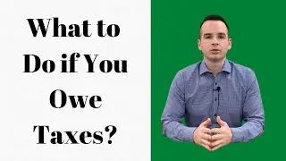 What to Do if You Owe Taxes?