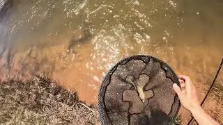 Currant Creek Utah Fly Fishing
