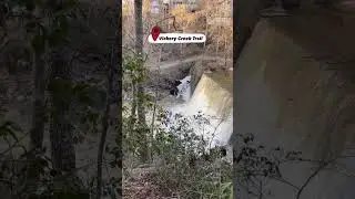 Vickery Creek Trail