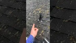 Chlorine Roof Cleaning Treatment | Seattle ProWash #christmasdecorations #gutter cleaning