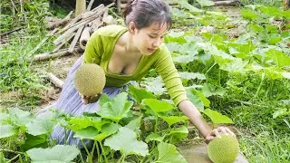 Celina's Daily Life - Single Mom Celina Harvesting Melons - Celina Sensual