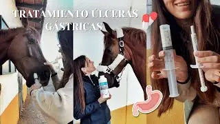 TRATAMIENTO de Yuqui para &Uacute;LCERAS G&Aacute;STRICAS💊