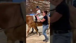 Physical therapy for cerebral palsy #horse #physicaltherapy  #shorts #wheelchairlife