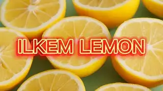 ИЛЬКЕМ ЛЕМОН. КОРОТКИЙ ИНФОМАЦИОННЫЙ ОБЗОР/ILKEM LEMON. INFORMATION REVIEW
