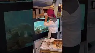 &Egrave; tempo di King Crab