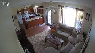 Ceiling fan falling