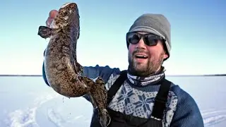 SAALIIKSI MADE JA KASA NORSSEJA - POJAN KANS TALVIVERKOILLA