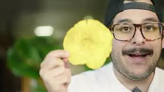 EXPLORING GASTRONOM&Iacute;A - MONTEVERDE