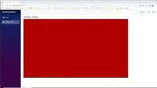 P005300 / Blazor & WebGL / Simple Test / Project Setting
