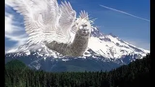 Alpacapillar II