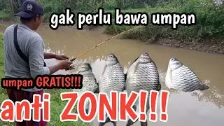 umpan GRATIS anti zonk || mancing mania tawes sirip putih