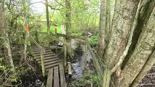 Naturreservatet,Hornborgarsj&ouml;n,Broddetorp 10 maj 2020