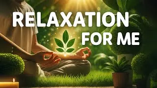 Explore how quiet moments and mindfulness help restore emotional balance in modern life.