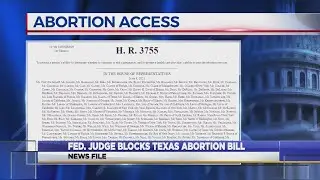Fed. Judge Blocks Texas Abortion Bill