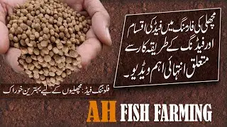 How to Operate A Fish Feed Pellet Machine | floating feed machine fish from Pakistan AH Feed Factory