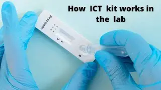 ICT method in laboratory | working principal of lab kits