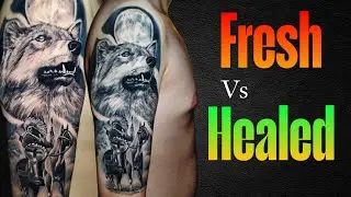 Fresh vs Healed Tattoo &ndash; 5 Hour Greywash Wolf Sleeve!