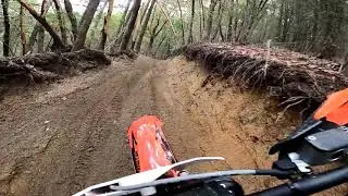 Johns Peak OHV, Sutter trail from the parking area