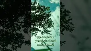 peaceful nature #shorts #viral #shortsfeed #trending #ytshorts #striver #strivervibes #trendingshort