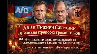 Признали экстремистами: почему AfD лишили доступа к защите Конституции