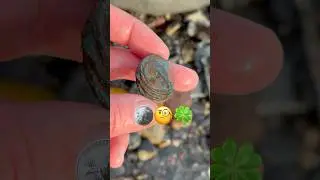 I can&rsquo;t believe these fossil hunting beach finds🍀🪙‼️#fossilhunter#ammonites#mudlarkinglondon