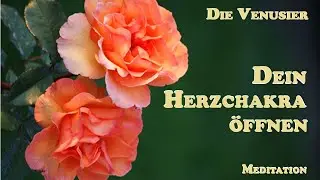 Dein Herzchakra &ouml;ffnen | Die Venusier | Meditation