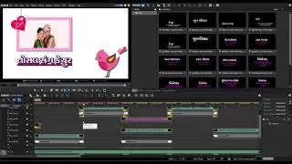 Edius Free Download Open Title 2019 pink sperow