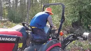 Reforestando area privada