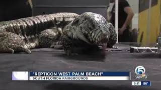 Repticon West Palm Beach draws reptile enthusiasts