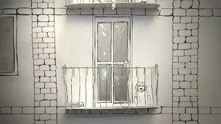 Cleaning Windows