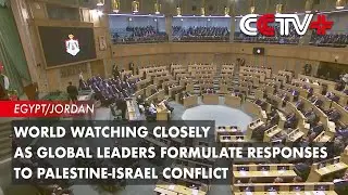 World Watching Closely as Global Leaders Formulate Responses to Palestine-Israel Conflict
