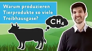 Klimakiller Tierindustrie? Warum Tierprodukte so viele Treibhausgase produzieren