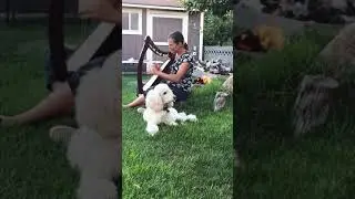 A midsummer night at home (lap harp)