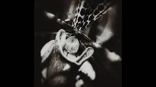 Daniel Myer - A​.​N​.​W​.​N​.​T​.​D (2022) TECHNO