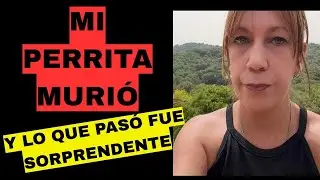 LO QUE PASÓ FUE SORPRENDENTE #espiritual #espiritualidad #mediumnidad 