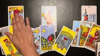 Scorpio ♏️Choosing The Best - Your Peace | February 2026 Monthly Tarot Reading 