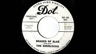 The Sherlocks - Shades Of Blue (1966 Moody Garage Rock)